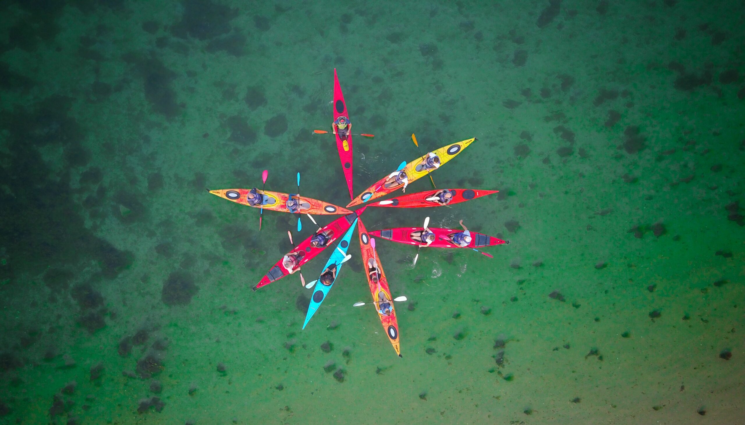 A top view shot of Kayaking in Morbihan gulf in Brittany, France